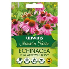 5051618030854 1 Echinacea Pow Wow Wild Berry Seeds.jpg